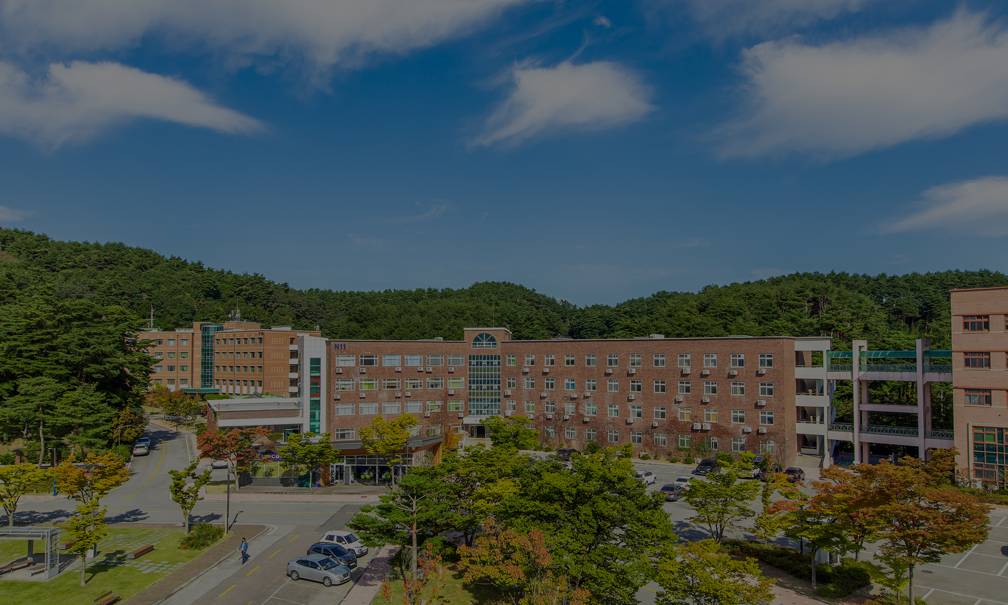 생명대 전경 사진