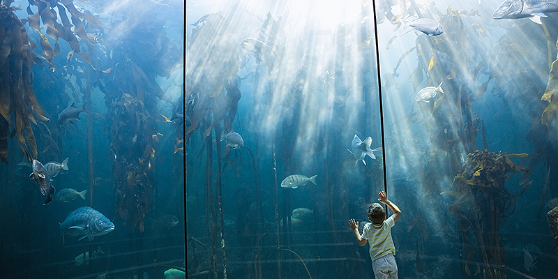 해양융합과학과